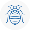 Bed Bug Extermination In Sunningdale