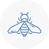 Bee Nest Removal Sunningdale