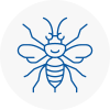 Sunningdale Hornet Nest Removals