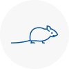 Mice Exterminators In Sunningdale