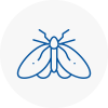 Moth Control Specialists In Sunningdale