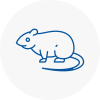 Rat Control Sunningdale