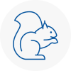 Sunningdale Rodent Removals