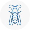 Sunningdale Wasp Nest Removal